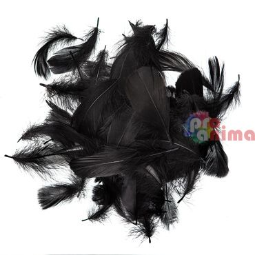 Черни пера за декорация 5- 12 cm, 10g
