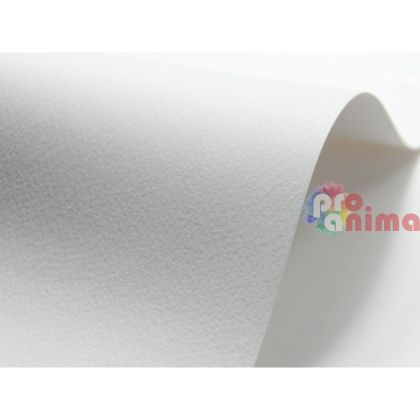 Картон за рисуване Fedrigoni Tintoretto, 250 g/m2, 50 x 70 cm