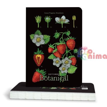 Скицник Drasca Strawberry, A5, 100 g/m2