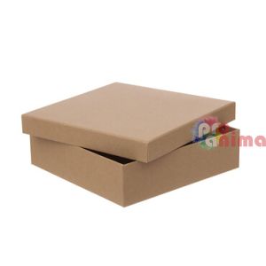 Кутия от картон 23.5x23.5x6.5 cm крафт