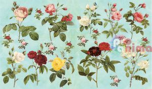 Декупажна хартия C. Kreul 60 g 33/48 cm Диви рози