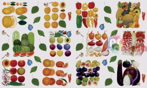 Декупажна хартия C. Kreul 60 g 33/48 cm Плодове и зеленчуци