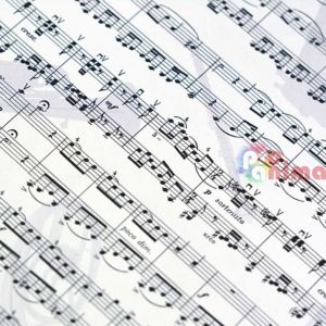 Варио картон Marpa Jansen, 50 x 70 cm, 300g/m2, ноти