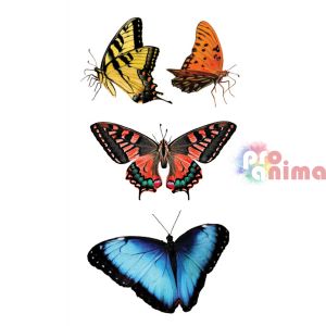 Стикери матирани от PVC, DP Craft, 15 бр., пеперуди