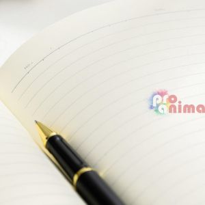 Бележник и химикалка Deli, в кутия