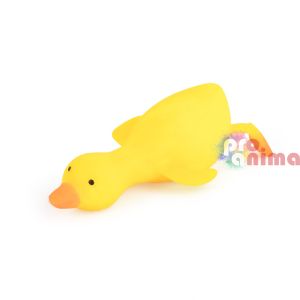 Скуиши пате