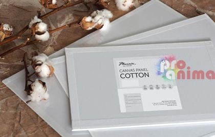 каширана плоскост