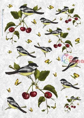 Декупажна хартия оризова KALit A4 Птици