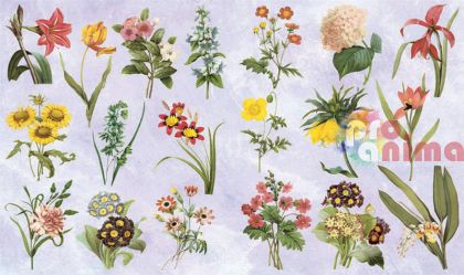 Декупажна хартия C. Kreul 60 g/m2, 33 x 48 cm, Билки