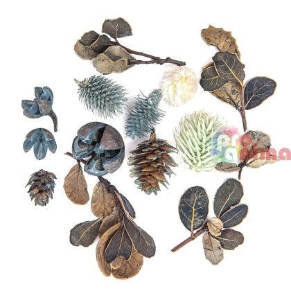 Декоративни сушени плодове и листа, 14 бр.