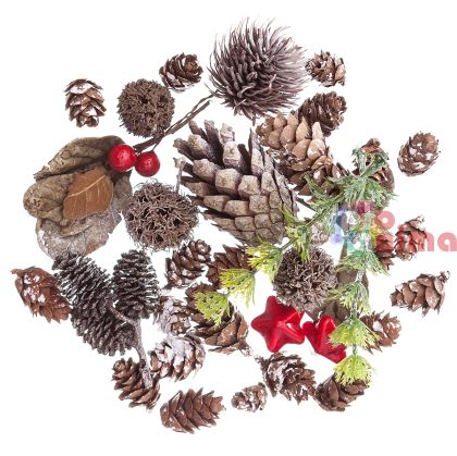 Натурални елементи за декорация DP Craft, 50 g