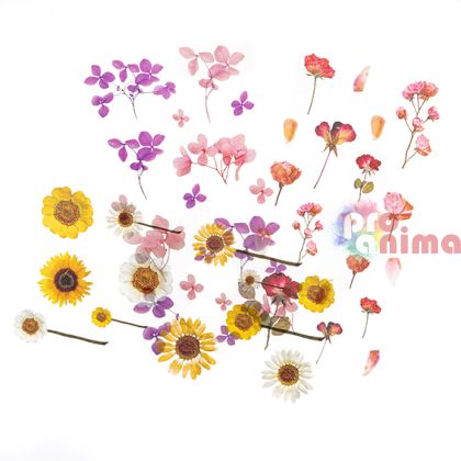 Прозрачни стикери от PVC Цветя, 49 бр.