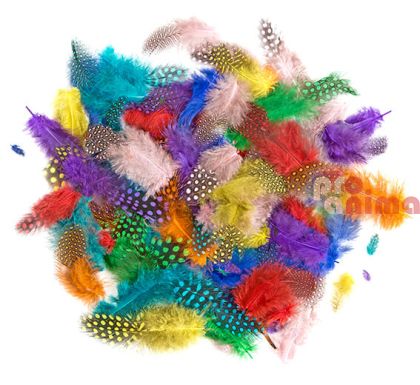 Пера от фазан за декорация DP Craft, 4-7 cm, 10 g, ярки цветове