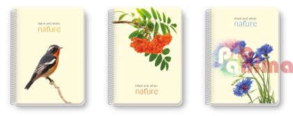 Тетрадка Black&White, широки редове, малък формат A5, 100 листа, спирала, PP корица, Nature