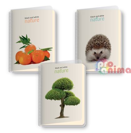 Тетрадка Black&White, B5, 100 листа, редове, PP корица, Nature