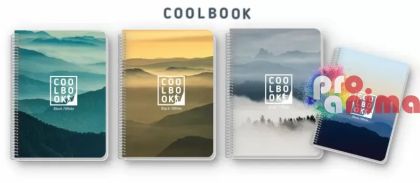 Тетрадка Black&White Coolbook, А4, 80 листа, спирала, редове