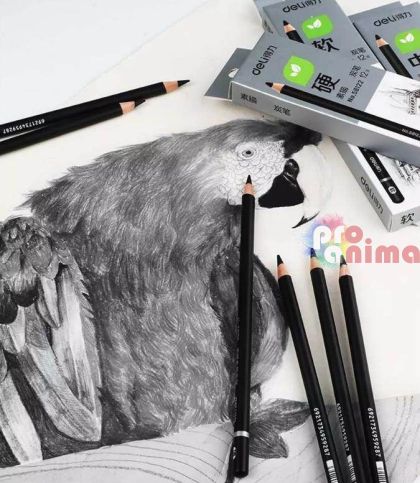 Въглен в молив Deli, 3 твърдости