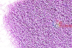 сух брокат в шишенце 20 ml- светла лила холограм