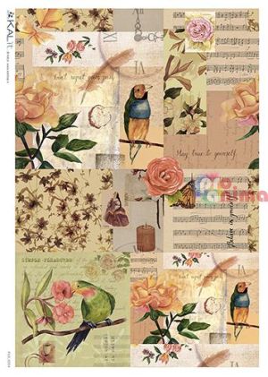 Декупажна хартия оризова KALit A4 Птици 67