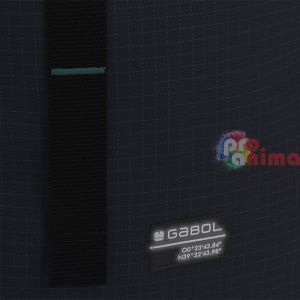 Раница за училище Gabol Lion с две отделения